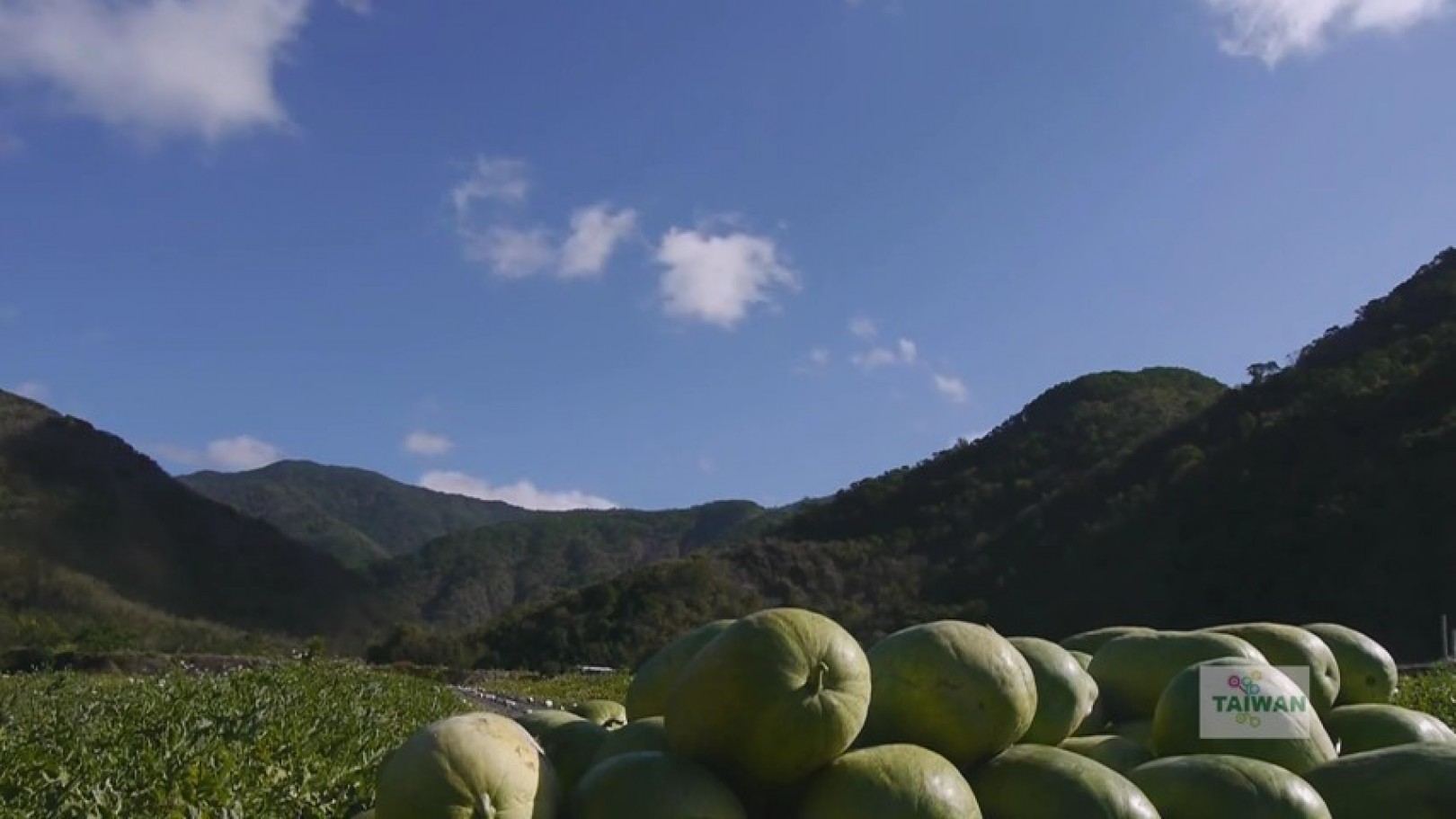 [屏東] 丹路部落｜周邊景點吃喝玩樂懶人包