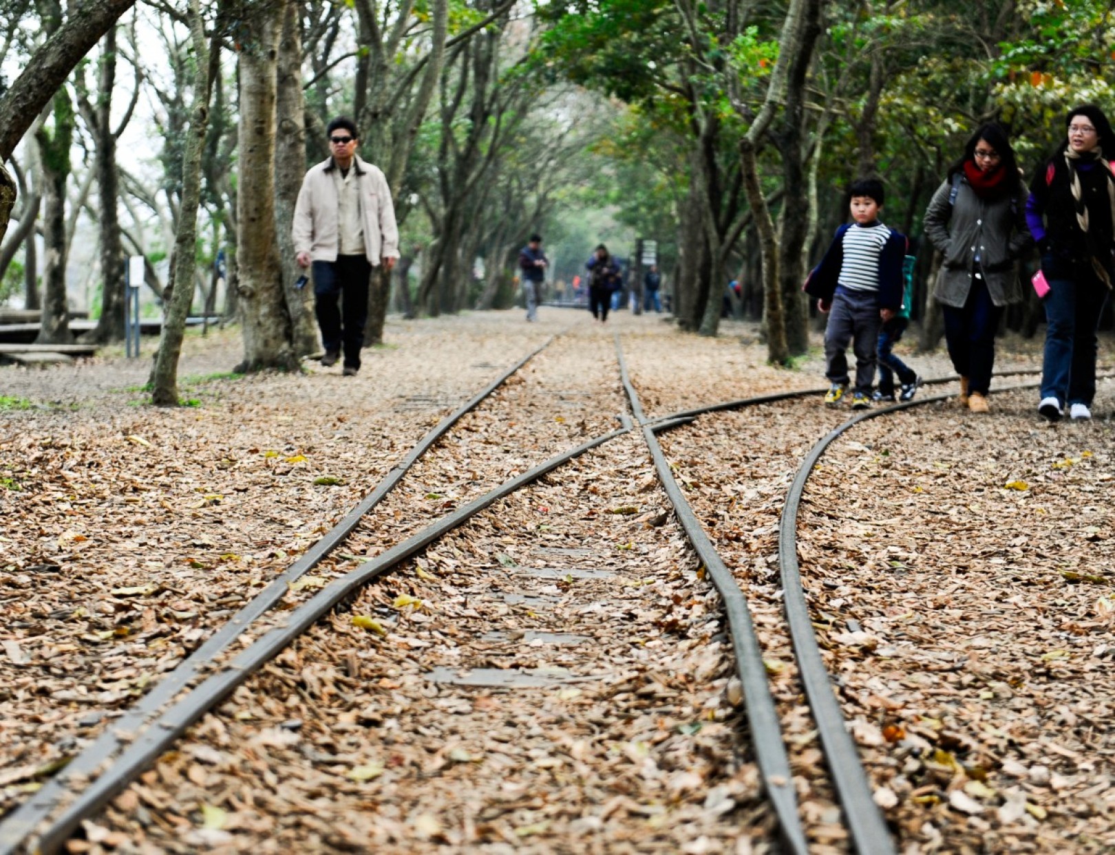 [羅東] 拒吸城市的二氧化碳，只要大自然芬多精的「羅東林業文化園區」